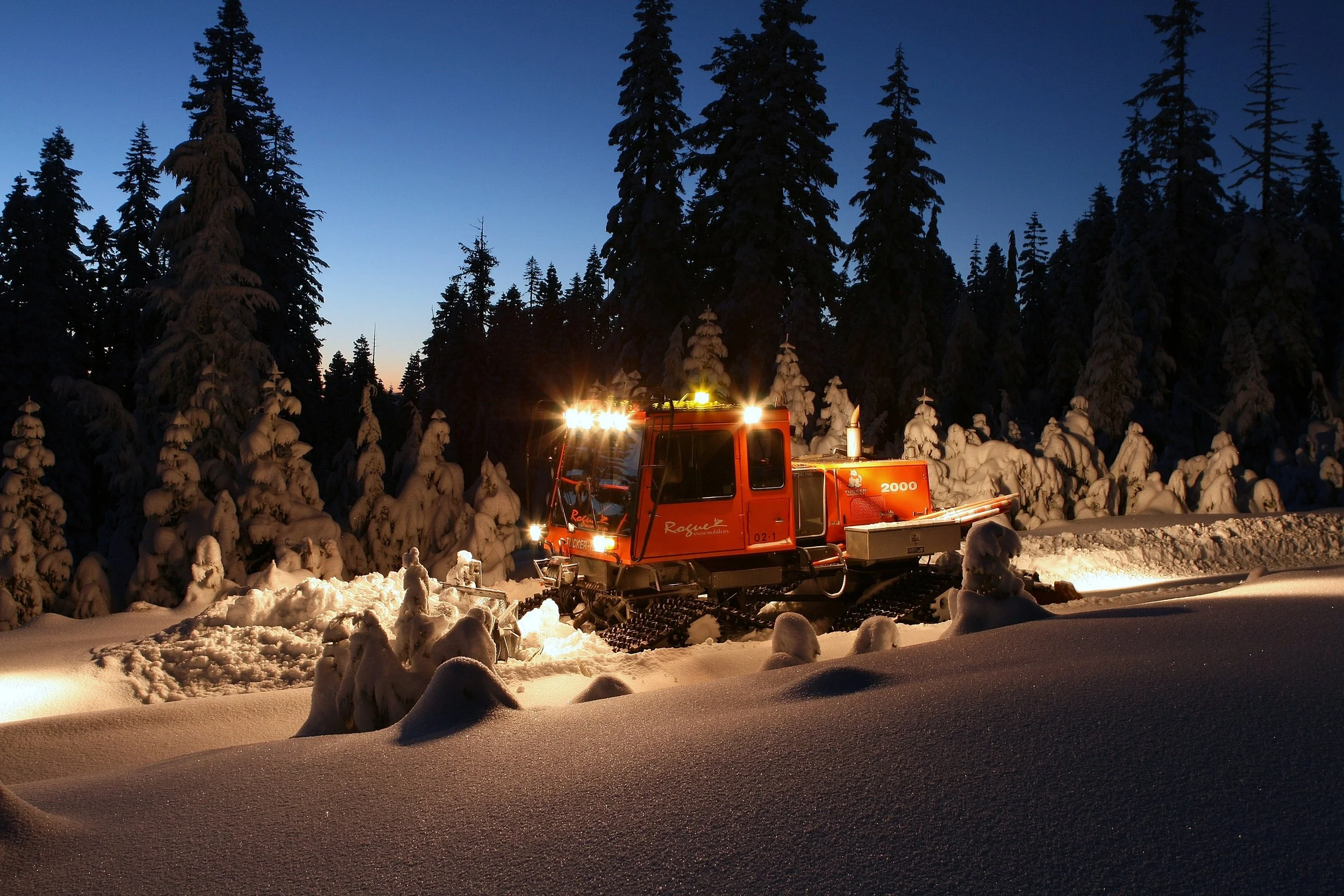A red snowcat vehicle driving through snow in a forest of tall, snow-covered pine trees at dusk or dawn.