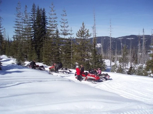 526165_516123468430676_195385833_n1.jpg