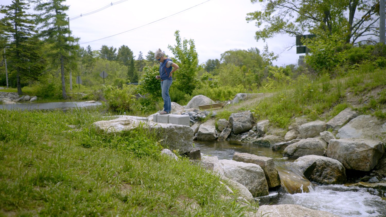 The River Herring Network — Gulf of Maine River Herring Network
