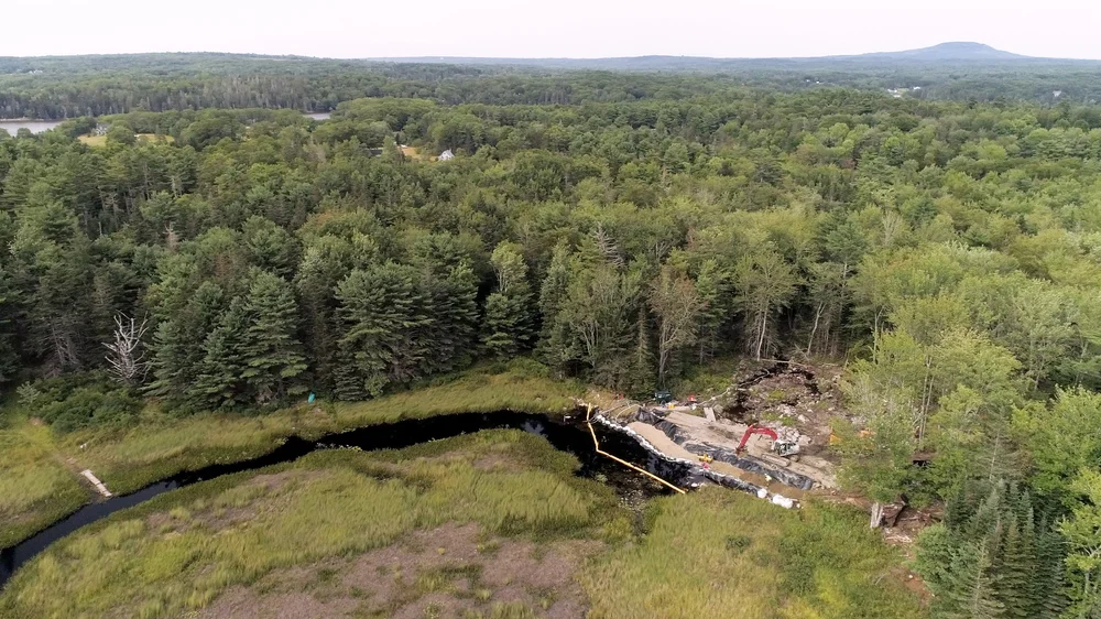 Restoration — Gulf of Maine River Herring Network