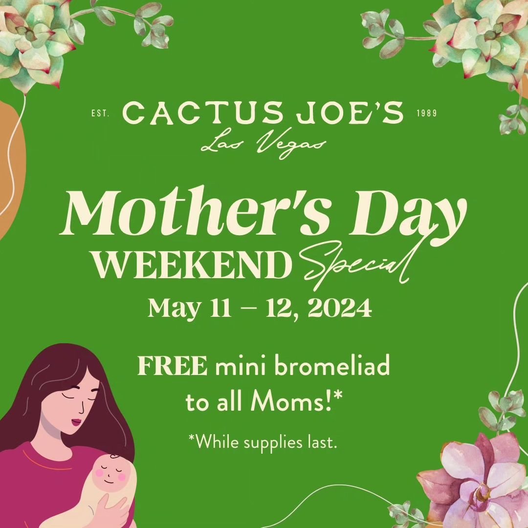 Moms deserve the world, and we're here to celebrate them this Mother's Day weekend at Cactus Joe's! 🌵💐

Join us outdoors as we honor all the incredible women in our lives. Enjoy a rejuvenating Outdoor Yoga Class on Saturday, sip on refreshing fresh