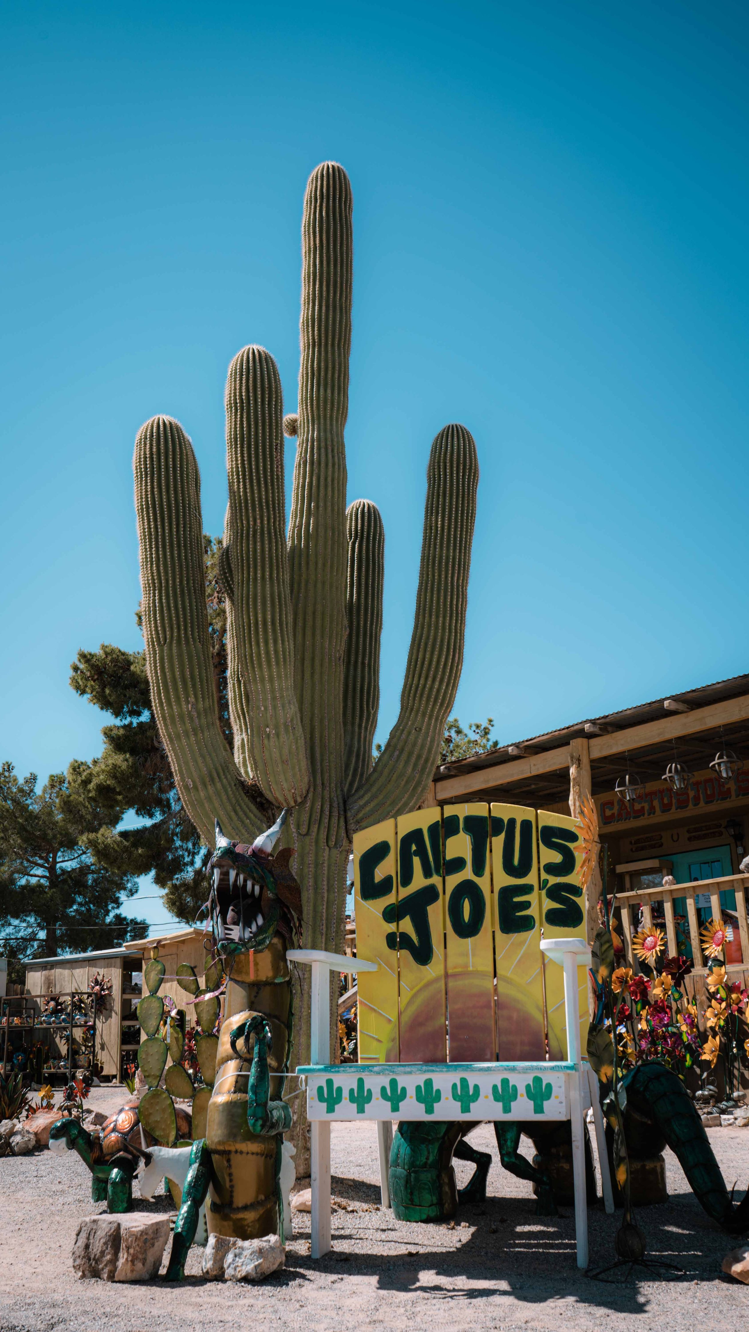 Desert Gardens — Cactus Joe's Desert Garden & Nursery Las Vegas