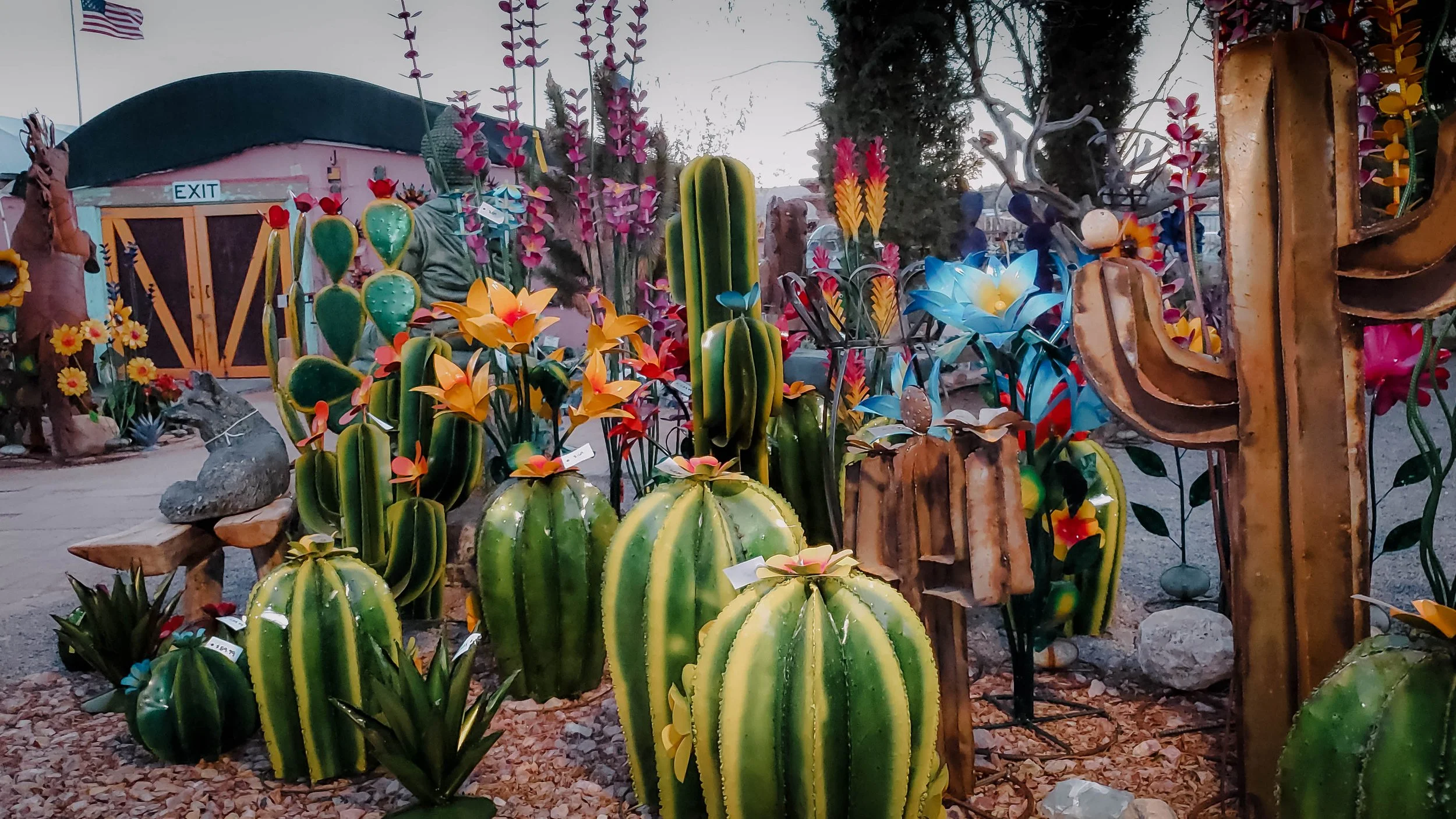 Desert Gardens — Cactus Joe's Desert Garden & Nursery Las Vegas