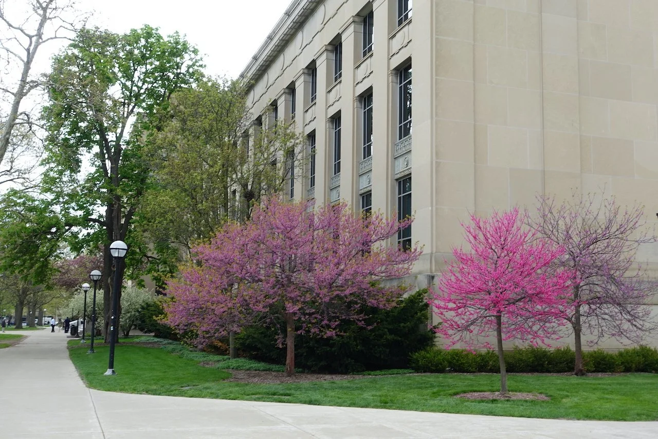 university of michigan campus ann arbor