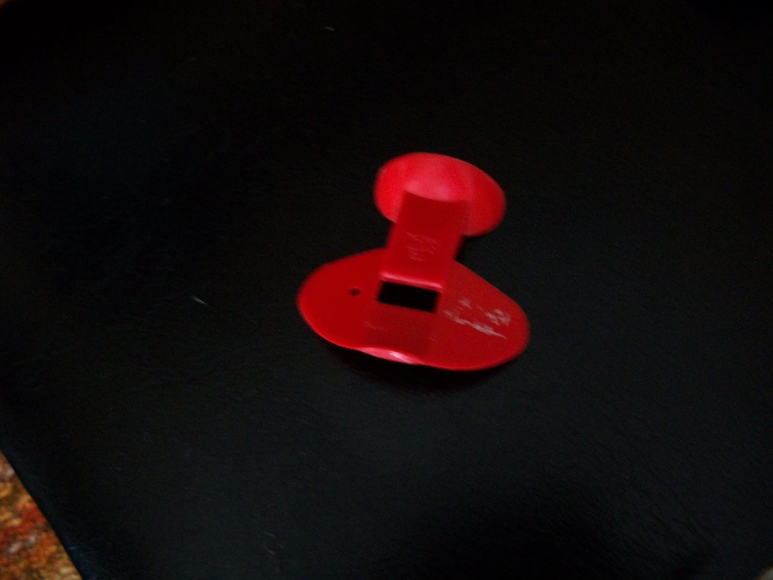 100_1769.JPG