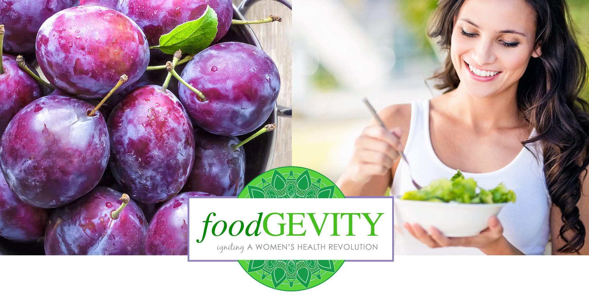 foodgevity+banner+for+portfolio+new+logo.jpg