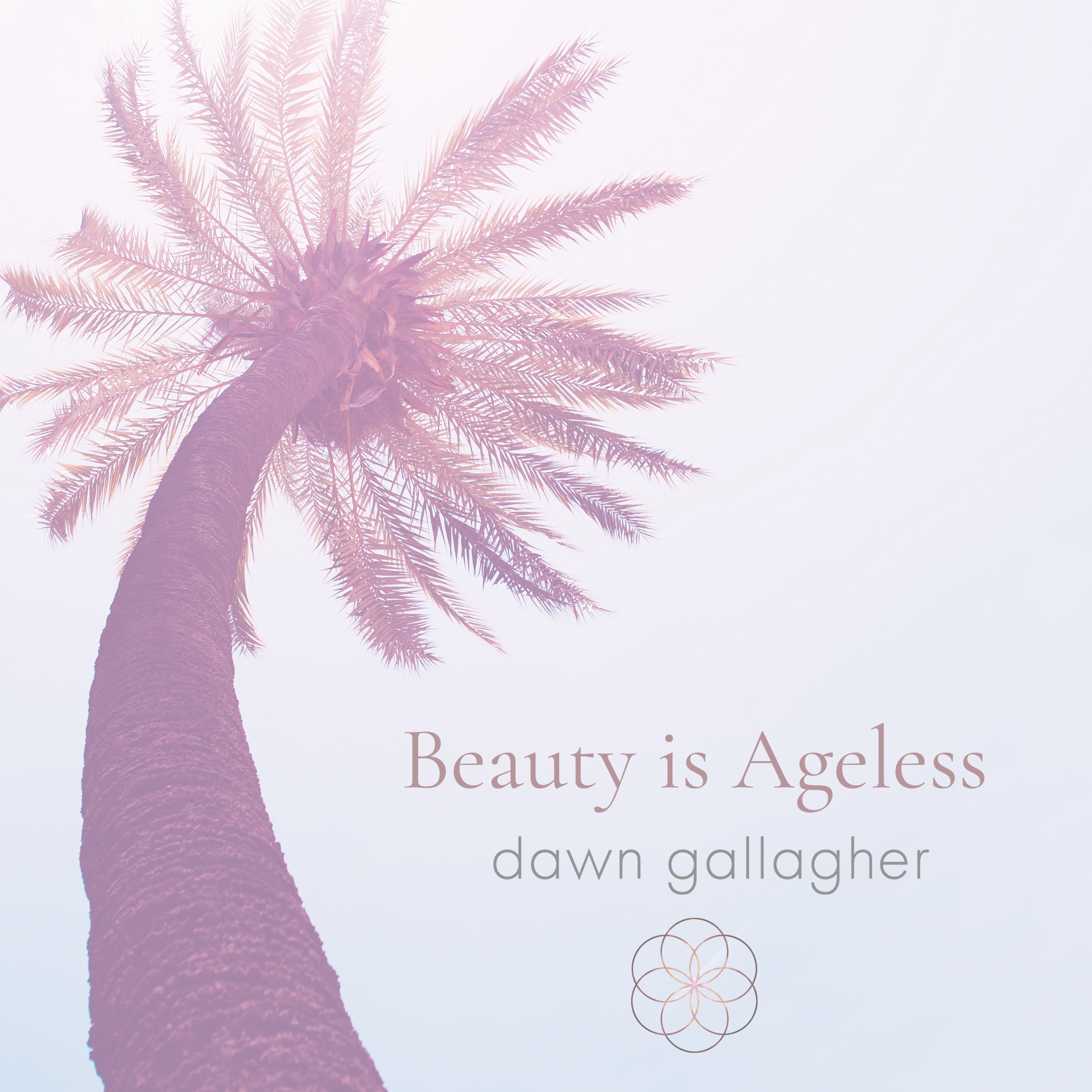dawn gallagher social media square beauty is ageless palm tree.png
