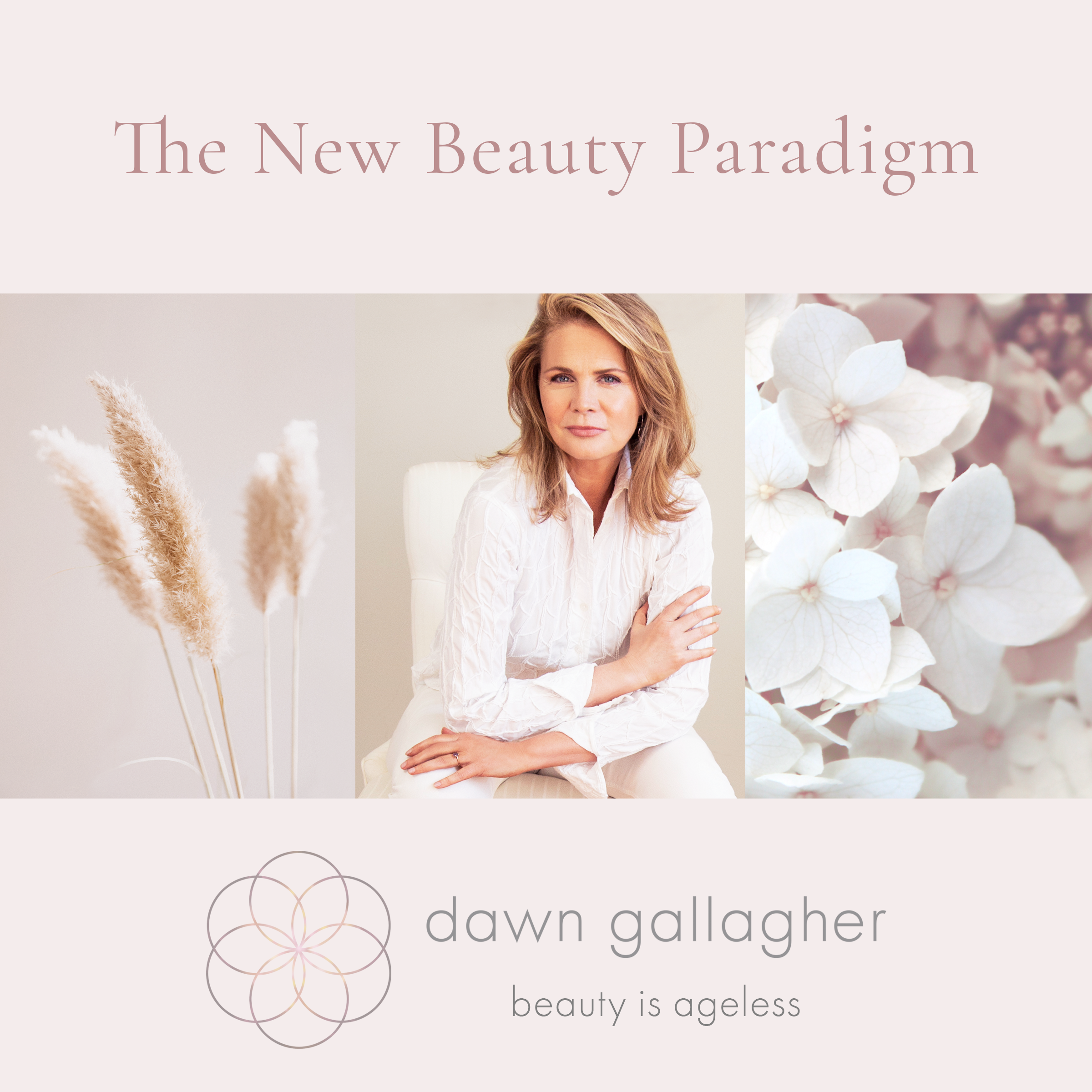 dawn gallagher social media square new beauty paradigm v1.png