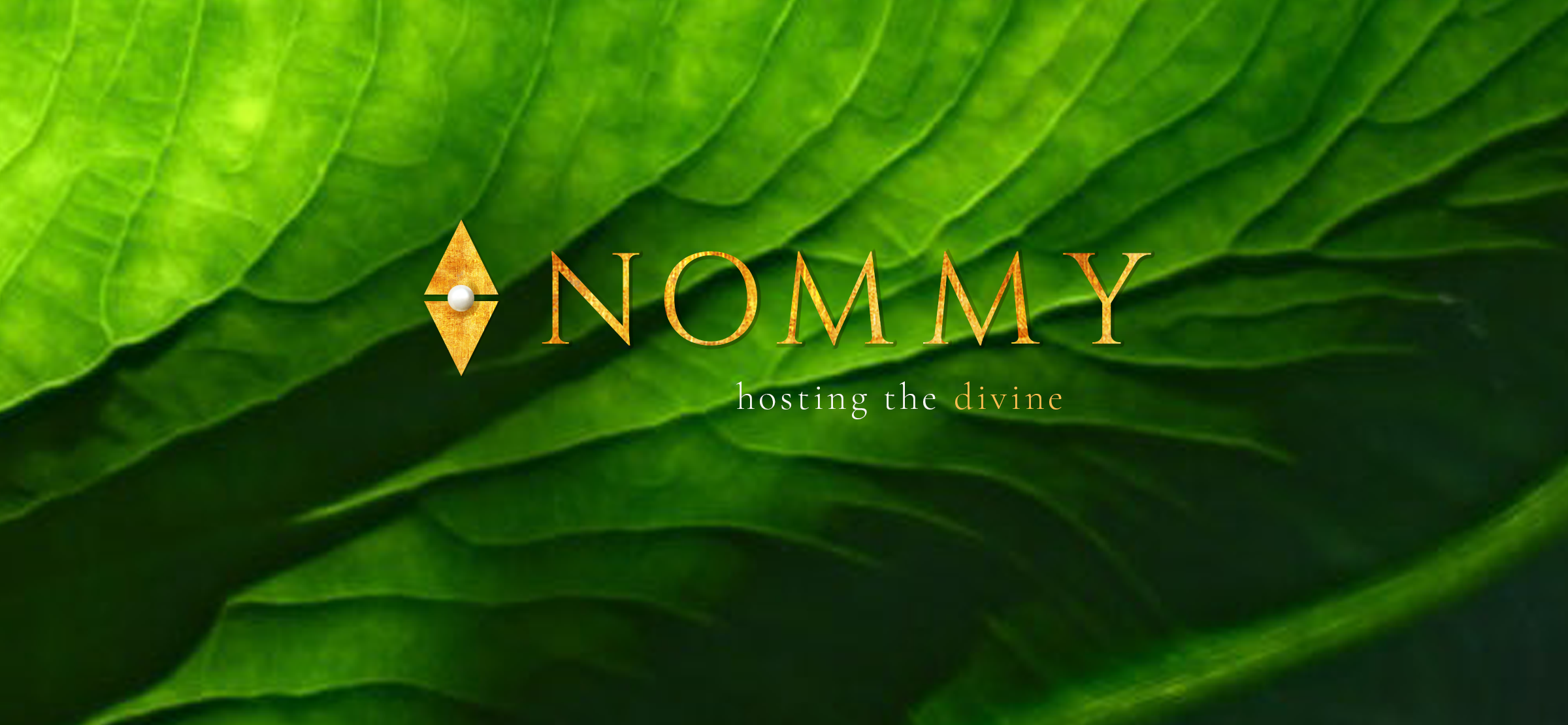 graphic design portfolio nommy logo branding © studio petronella.png