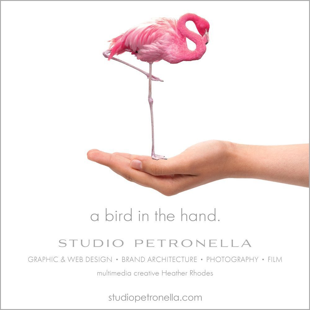 a+bird+in+the+hand+sp+ad+flamingo+w+stroke+©+heather+rhodes+studio+petronella+all+rights+reserved.jpg