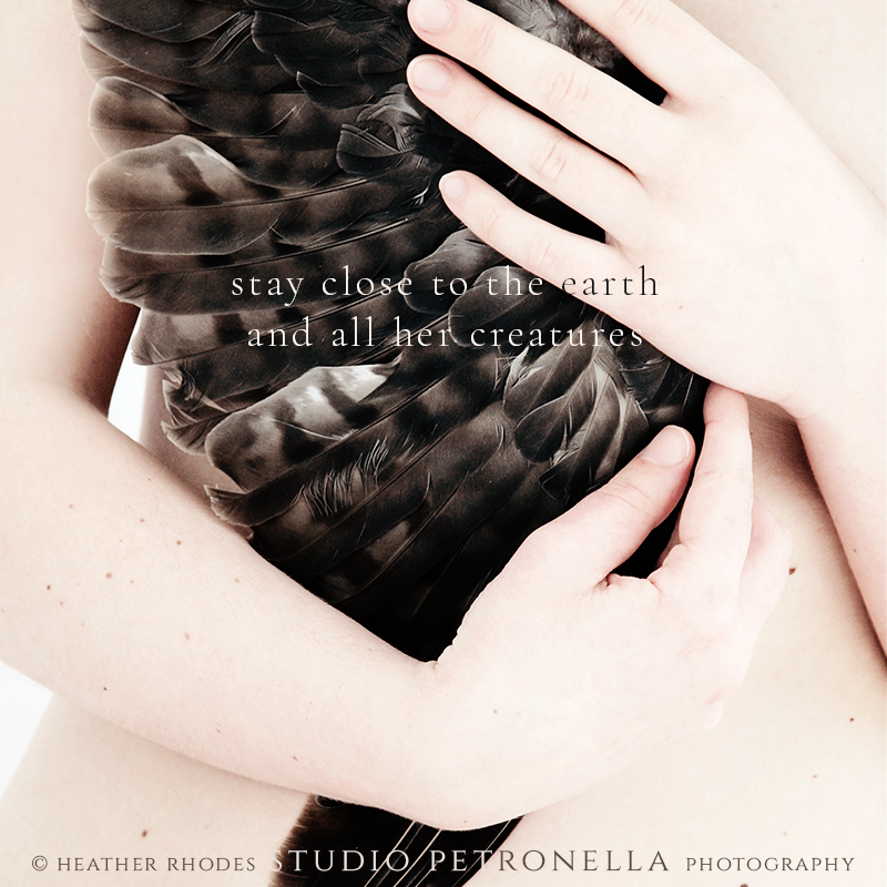 She Fell from The Stars