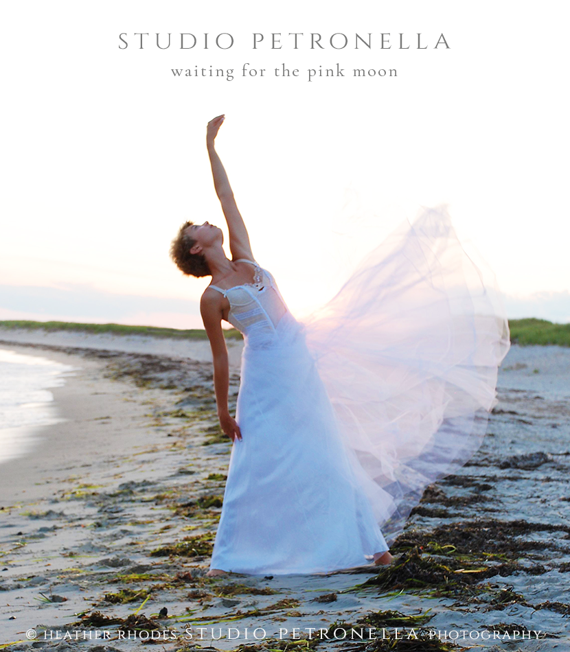 Waiting for the Pink Moon