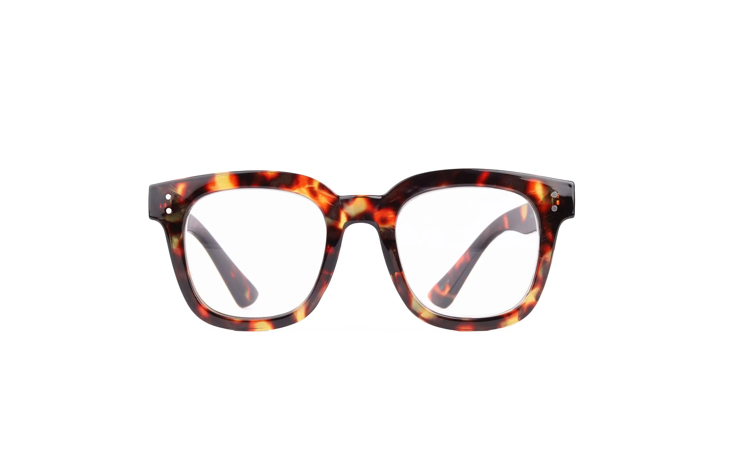 SLOANE_Tort_front copy.jpg