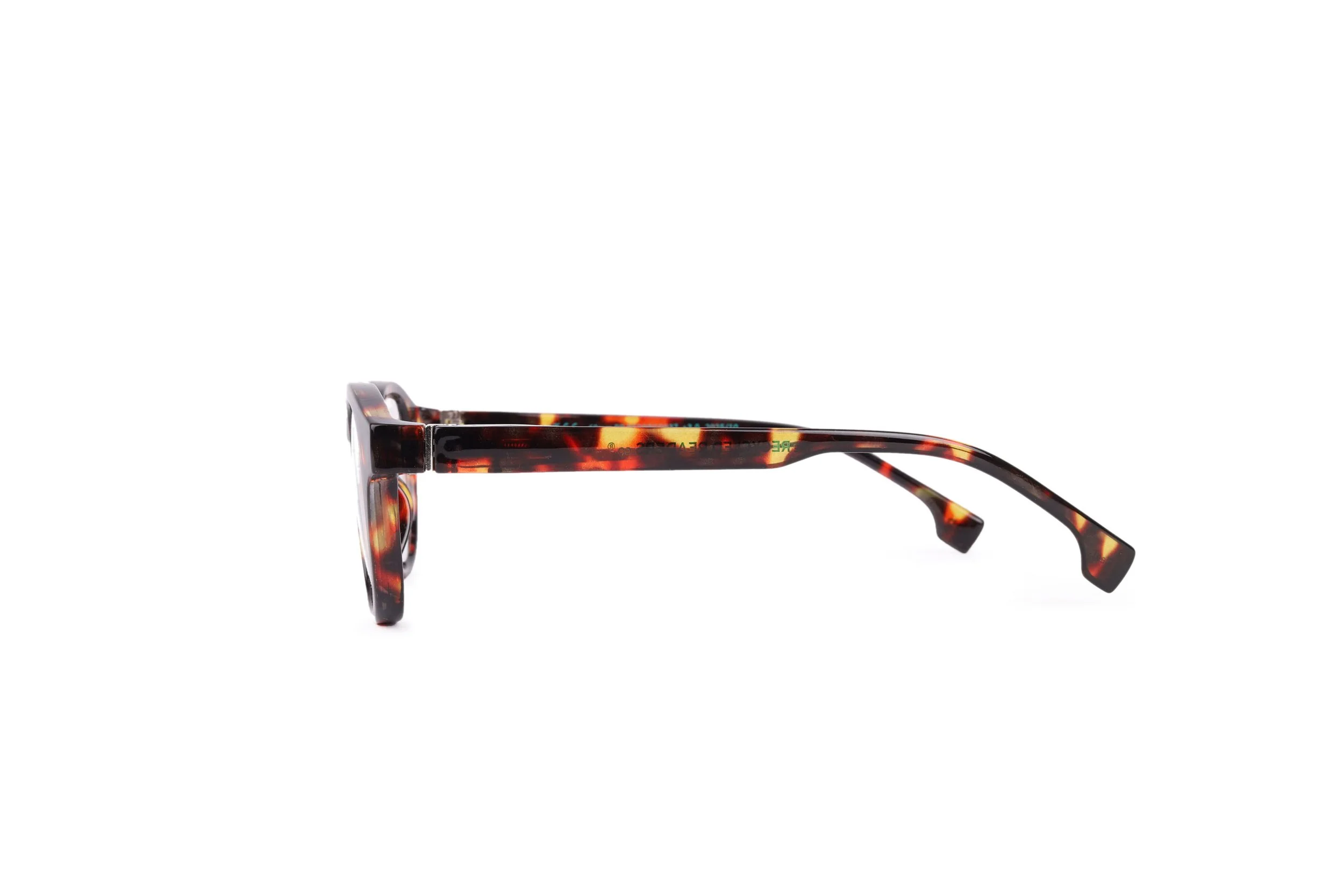 FLEET_Tort_side LEFT copy.JPG