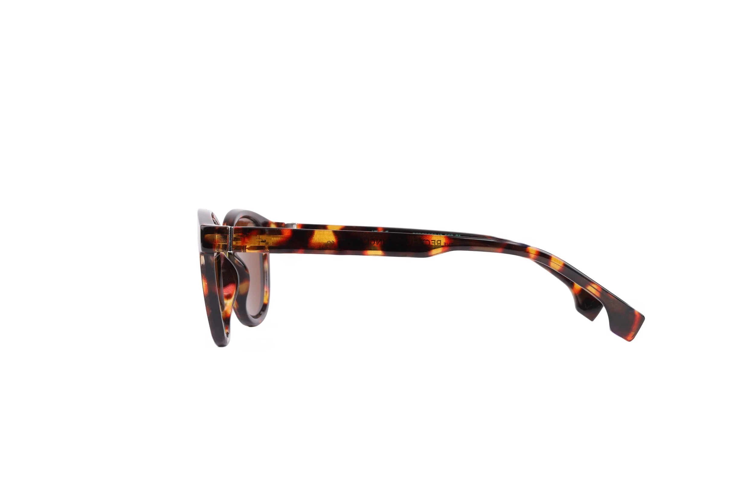 CAMDEN_Tort_side copy.jpg