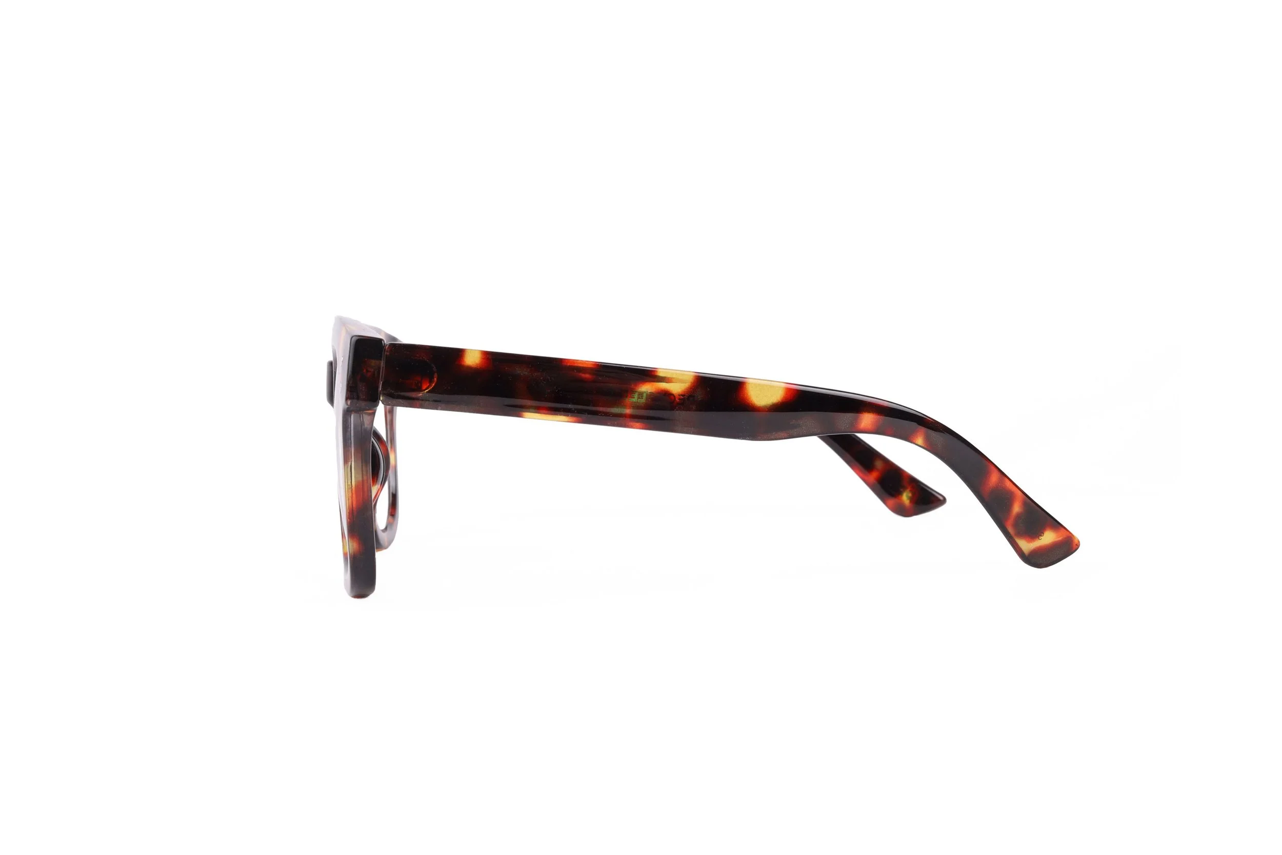 SLOANE_Tort_side copy.jpg