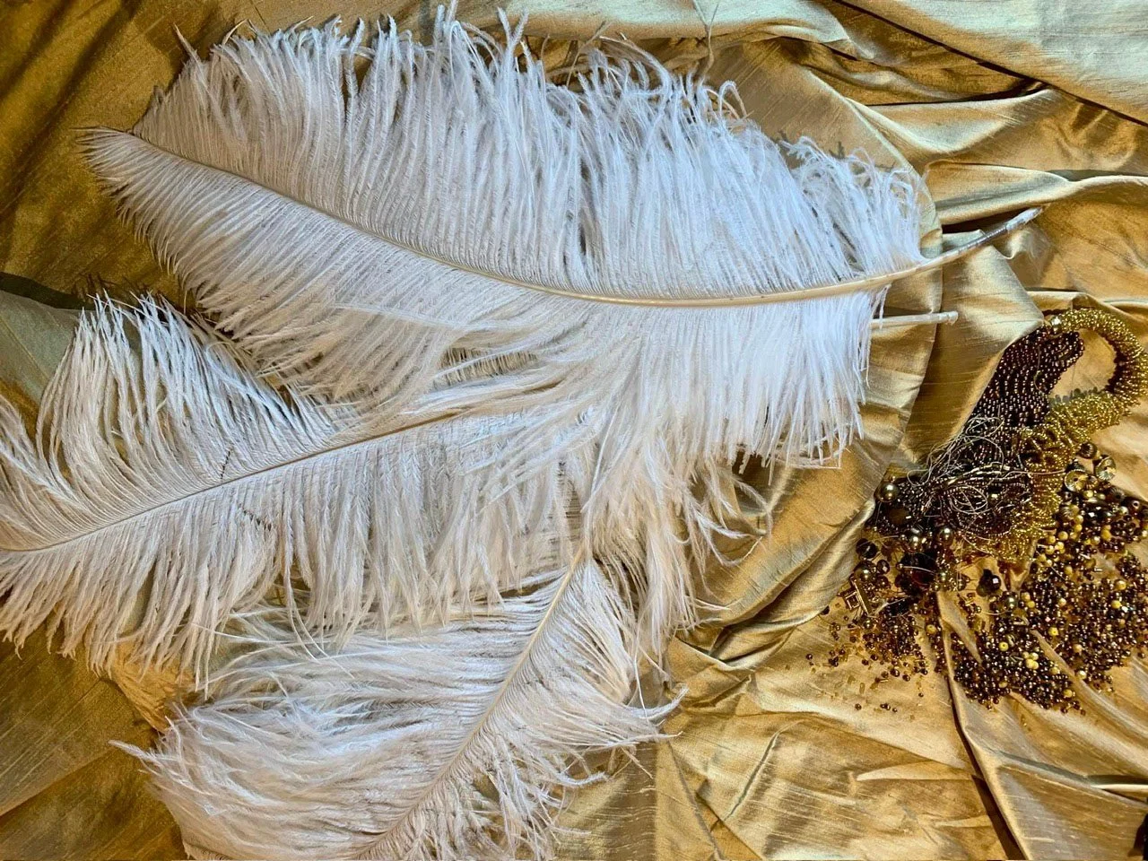 Ostrich Feathers - for commissioning