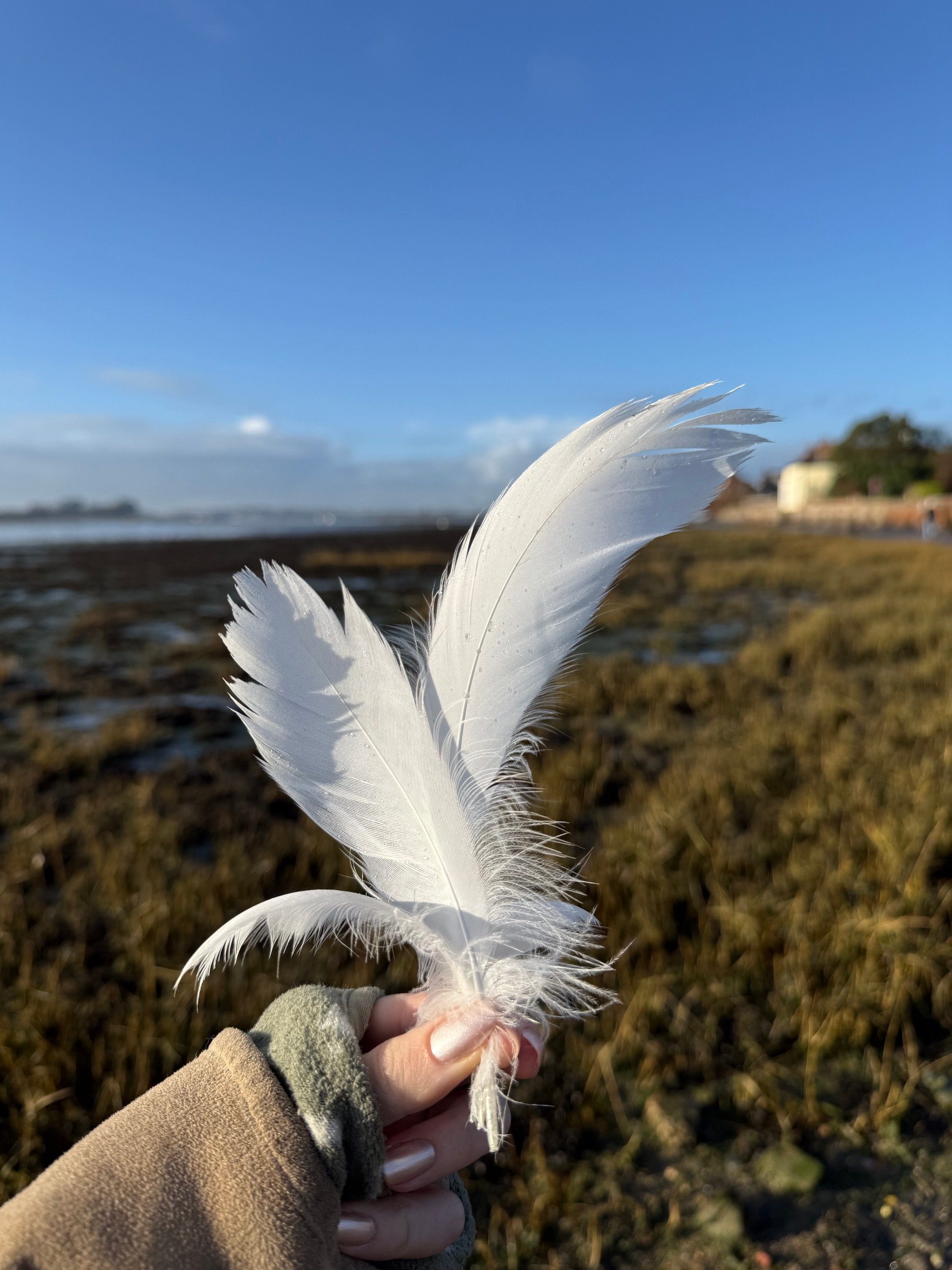 Person wearing a glove holding a white feather in an outdoor setting with a grassy and rocky landscape under a blue sky.
