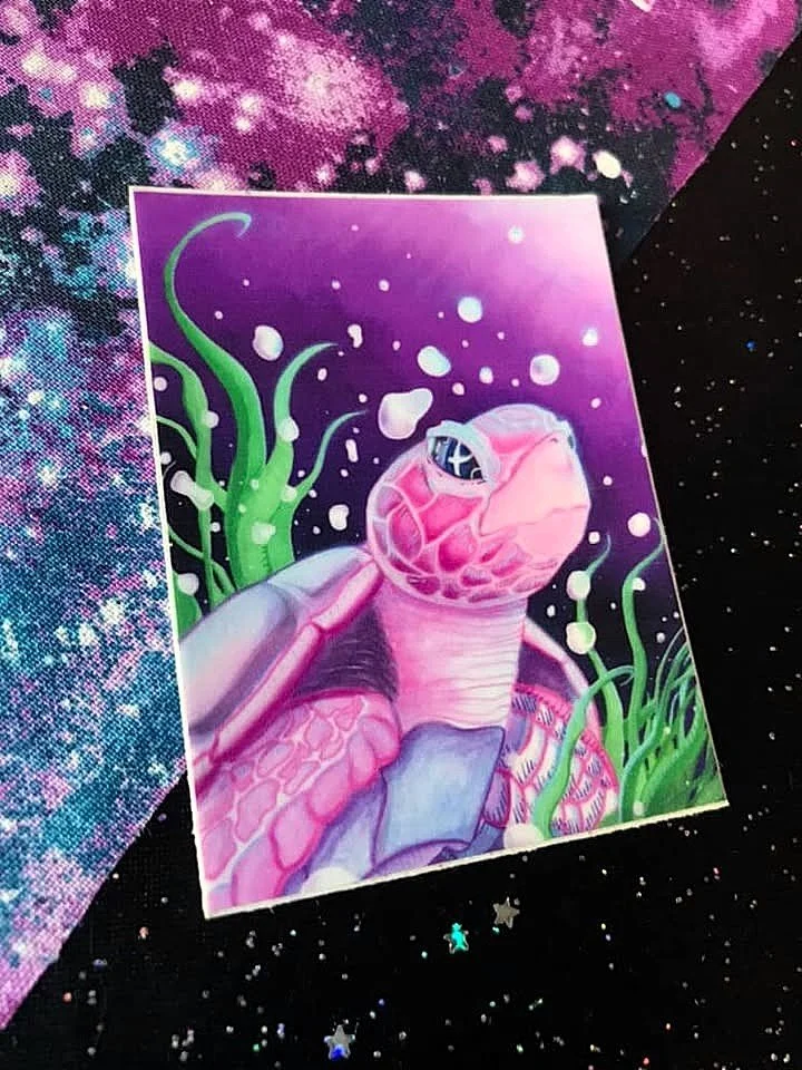 seamore-galaxy-sea-turtle-cosmic.jpg