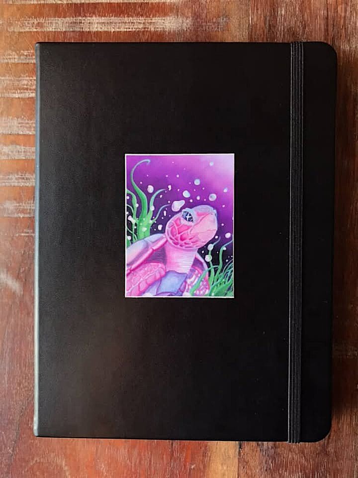 seamore-galaxy-sea-turtle-cosmic-sticker-sketchbook.jpg