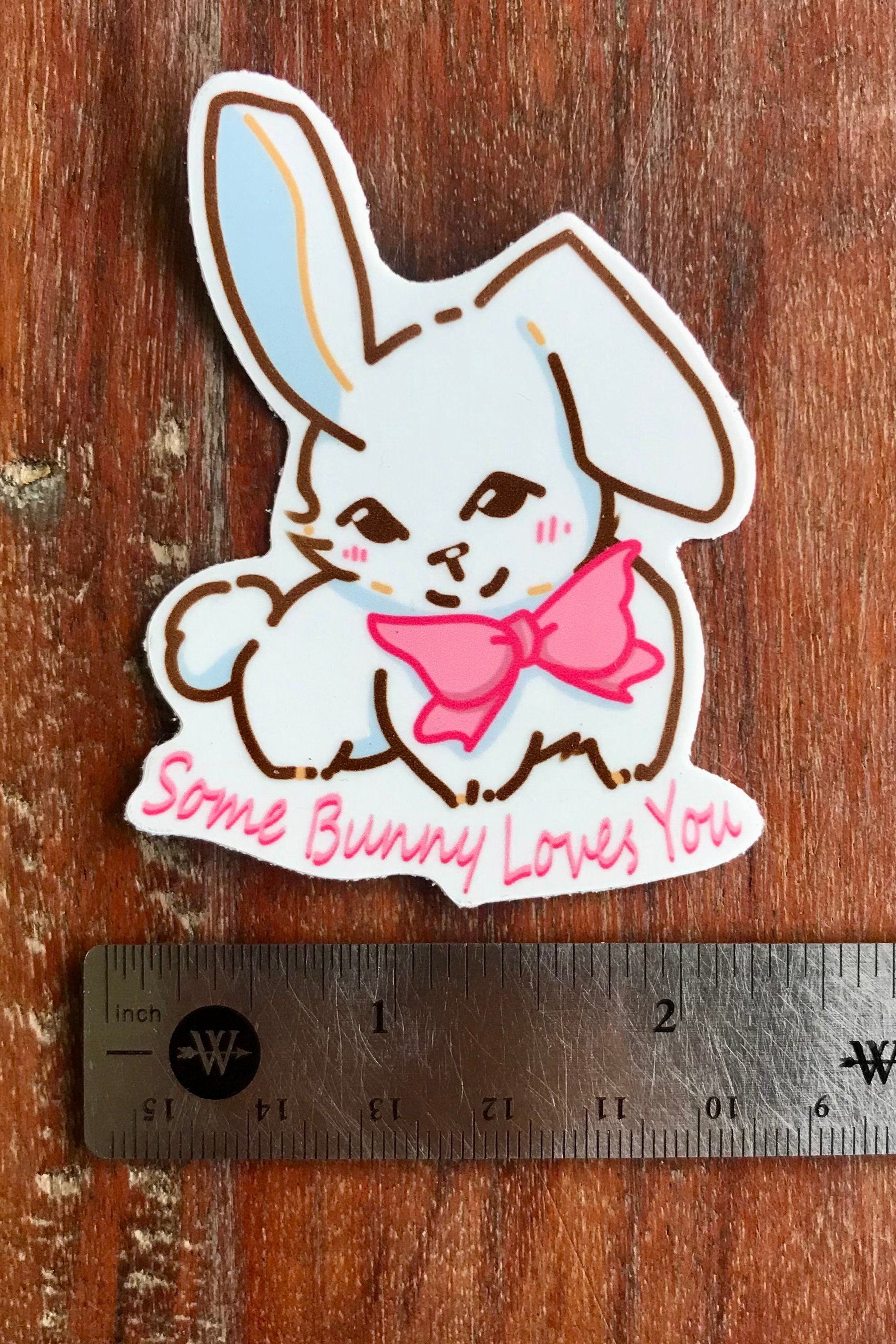 some+bunny+website+1.jpg