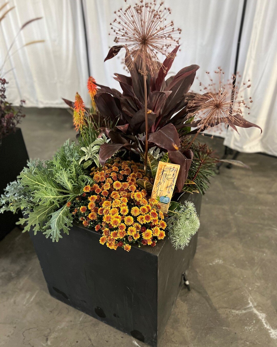 Kate S. had a bright idea for Blue Rouge.....feature a &quot;Pot of the Week!&quot; 

Well, here it is Kate.  Take a look at this beauty!

This pot was custom-fitted with wiring for lighting and tubing for watering! 

We are here to help you achieve 