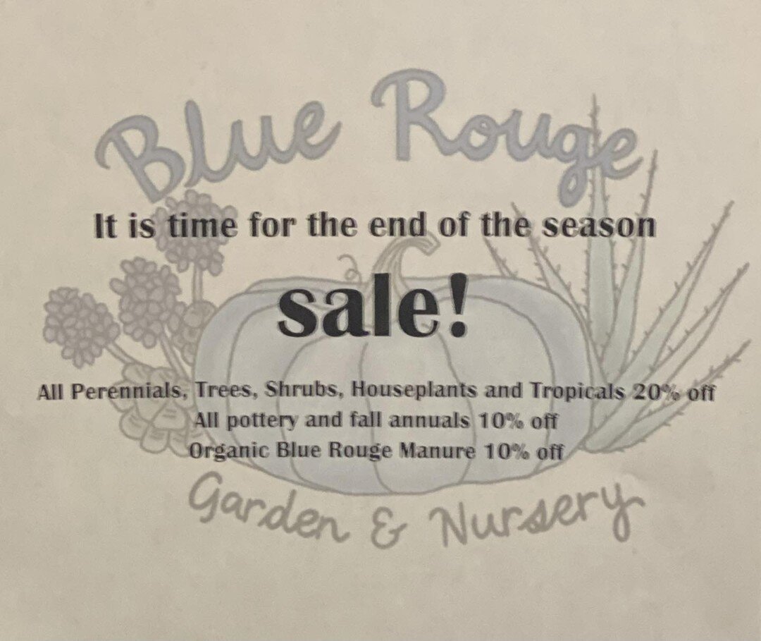 BIG SALE‼️📣 #endofseasonsale #bluerougegardenandnursery #plantsmakepeoplehappy