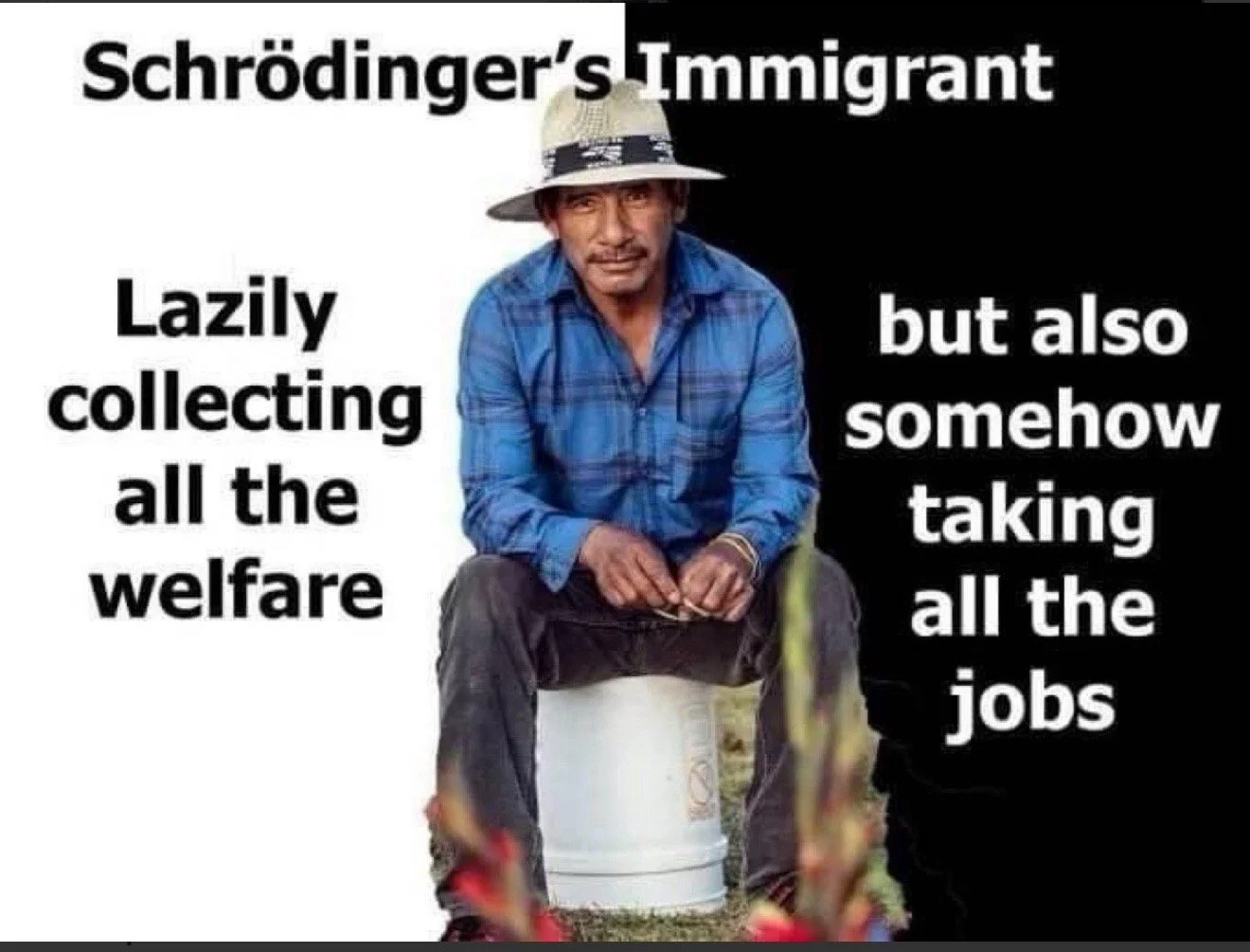 Schrödinger’s Immigrant