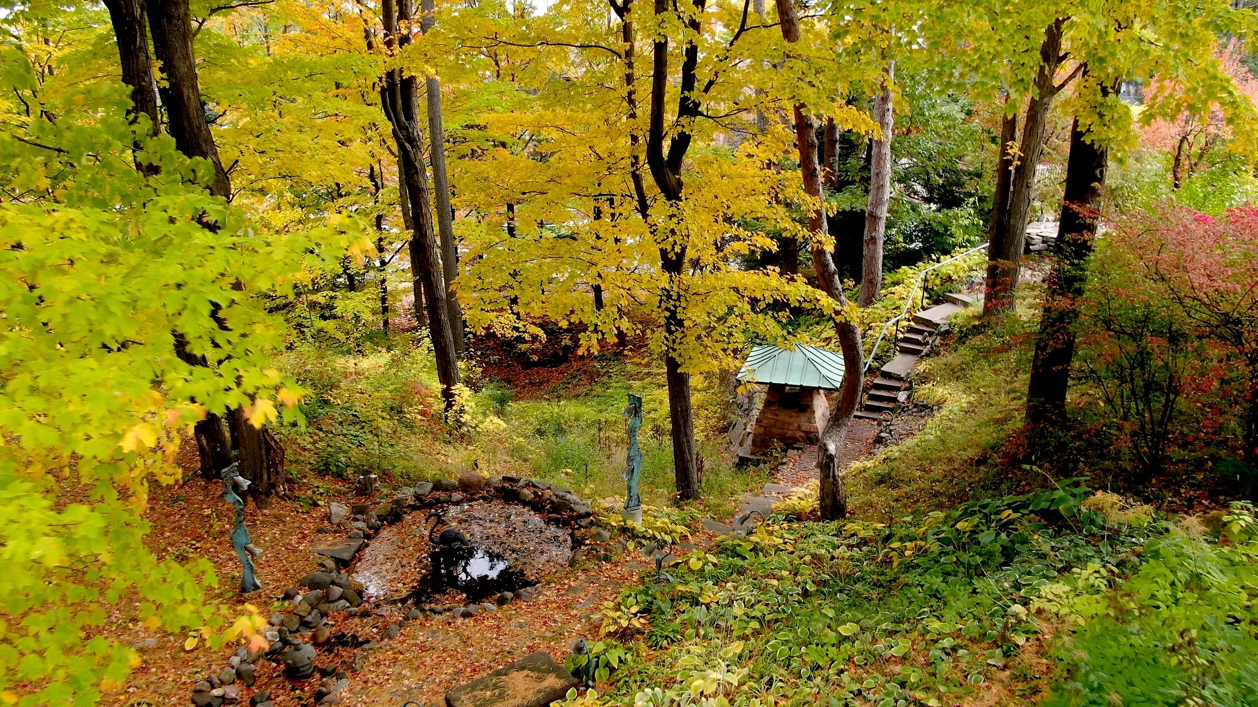 QV PATH FALL COLORS.jpg