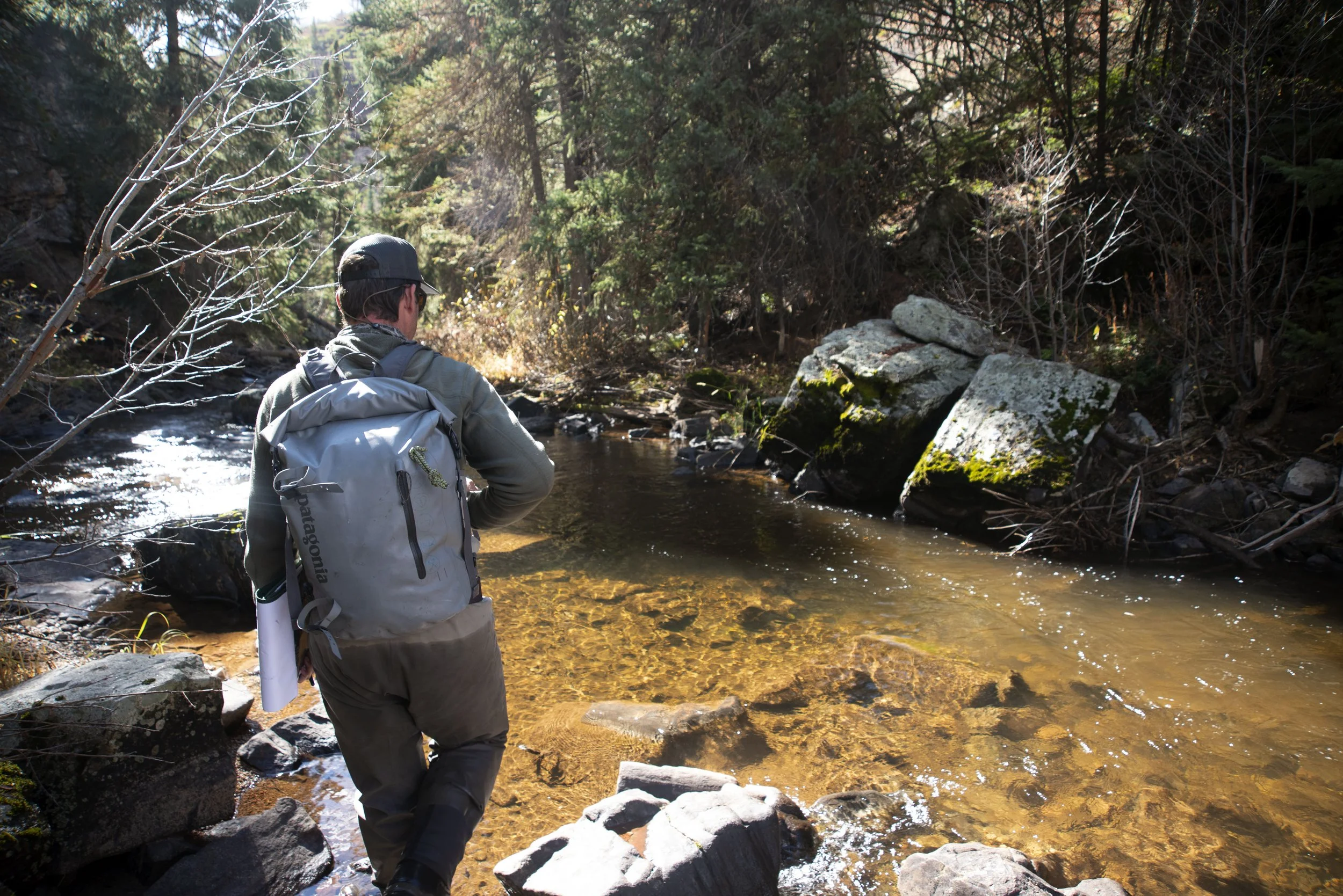 DESIGN AND PERMITTING