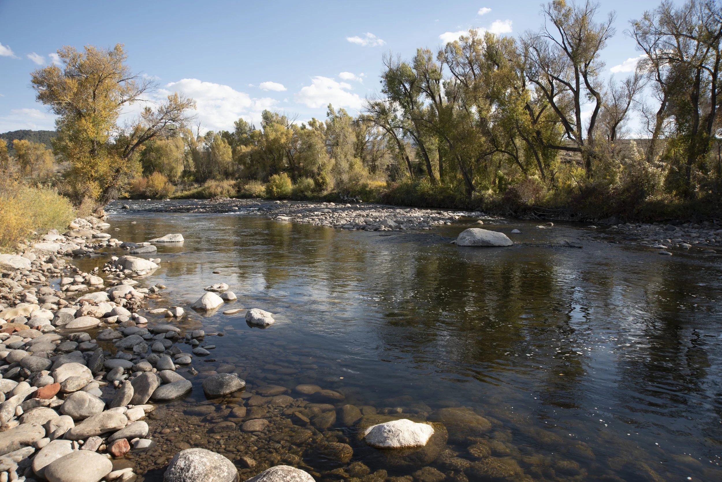 FISHERY IMPROVEMENTS