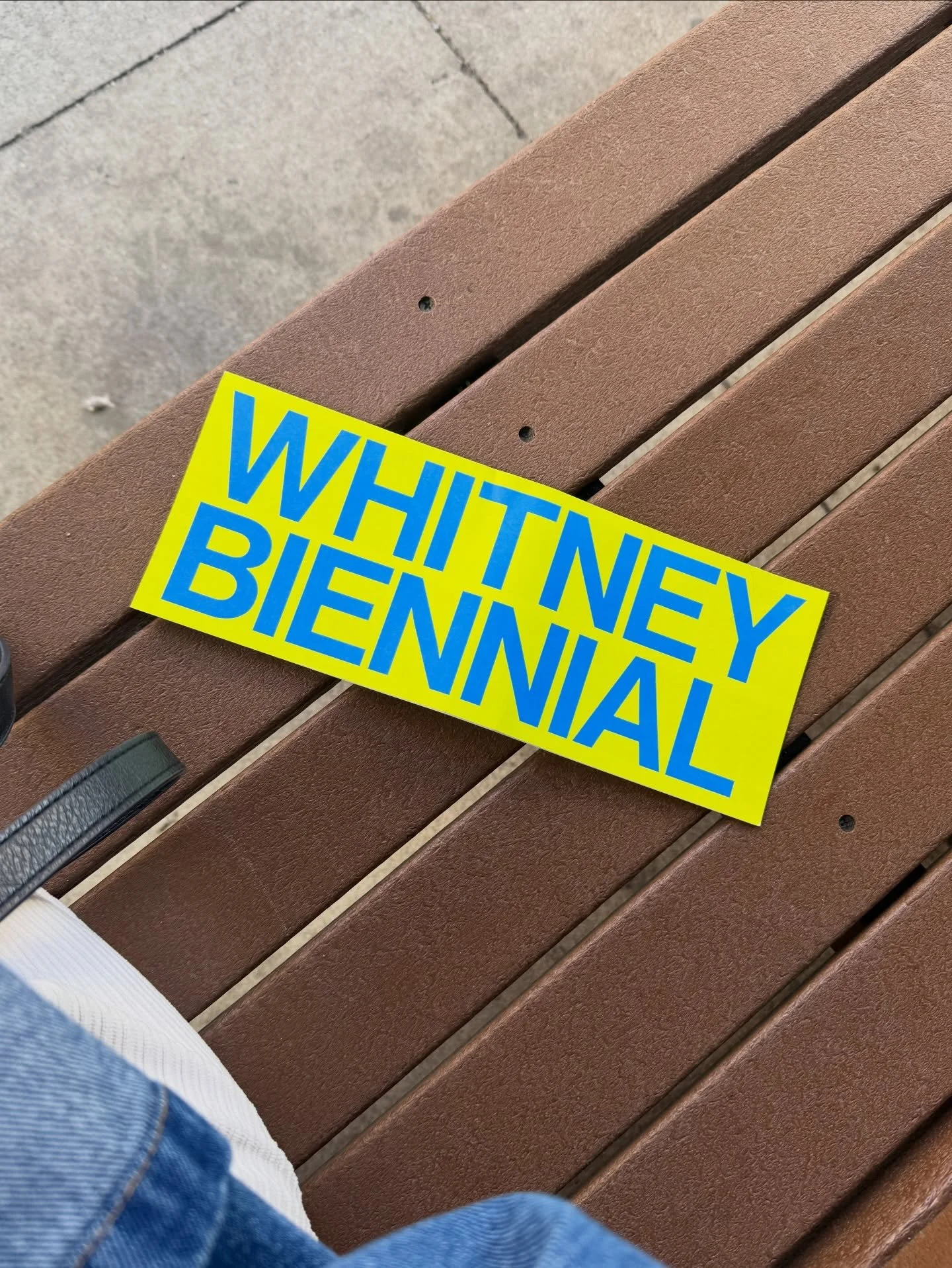 &ldquo;Remind me, who is Whitney Biennial?&rdquo; 
.
.
.
#nyc #art #museums #march #moodboard