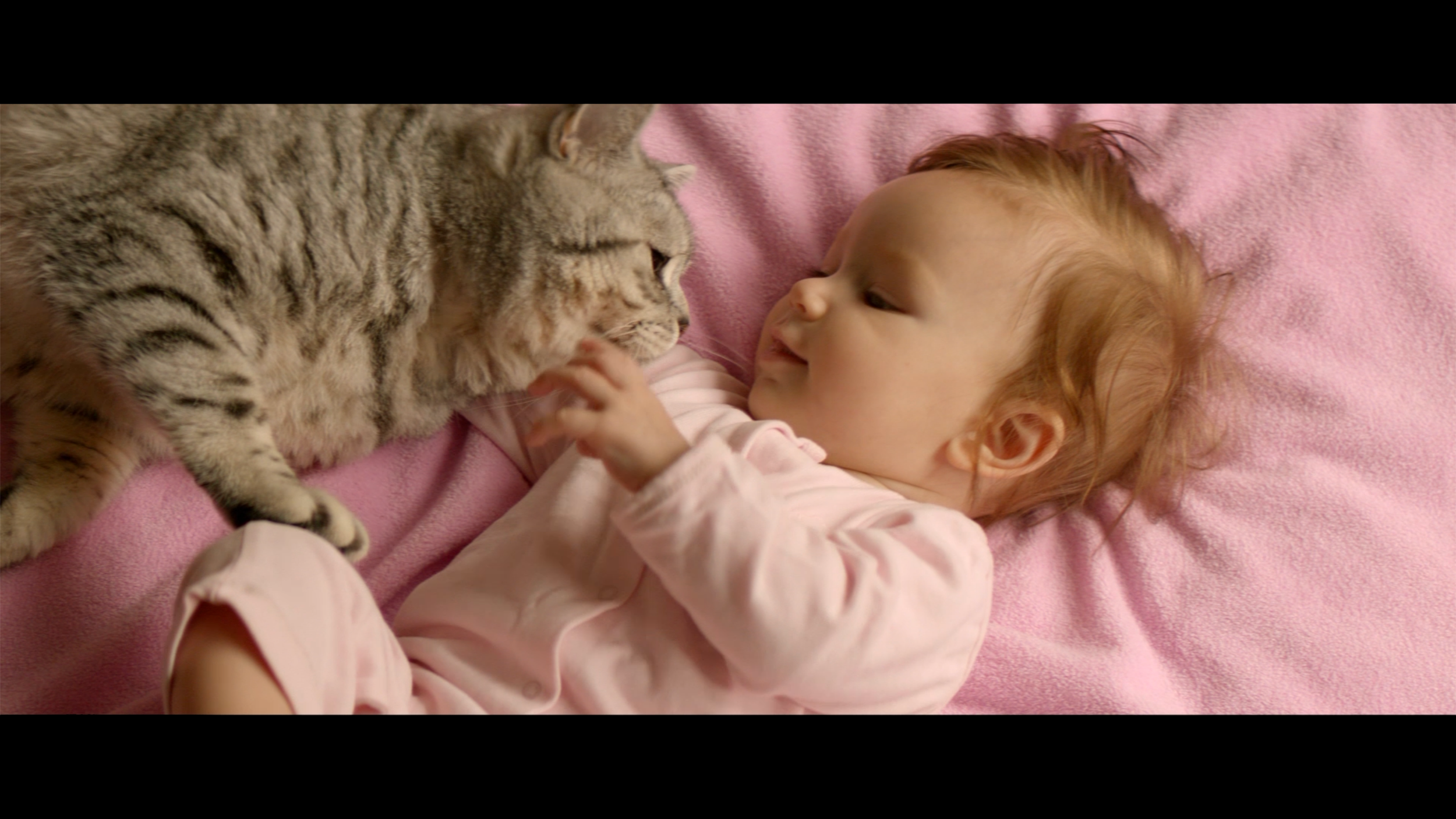 Fur Free Alliance | Commercial