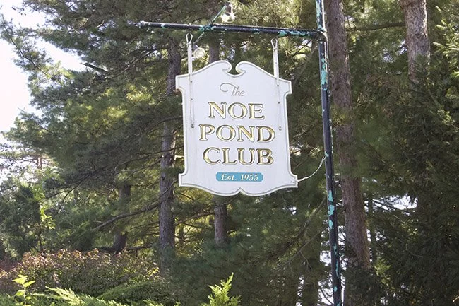 Sale of Small Town Poll Reignites Affordable Housing Debate