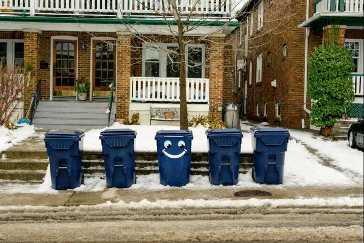 The Frontline of Community: Why Bin Etiquette is the Secret to Happy Neighborhoods