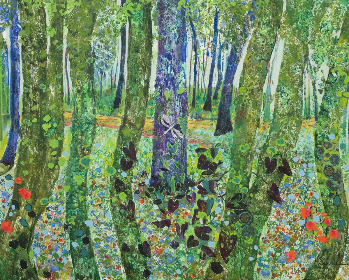 El Bosque A Pie De Selva