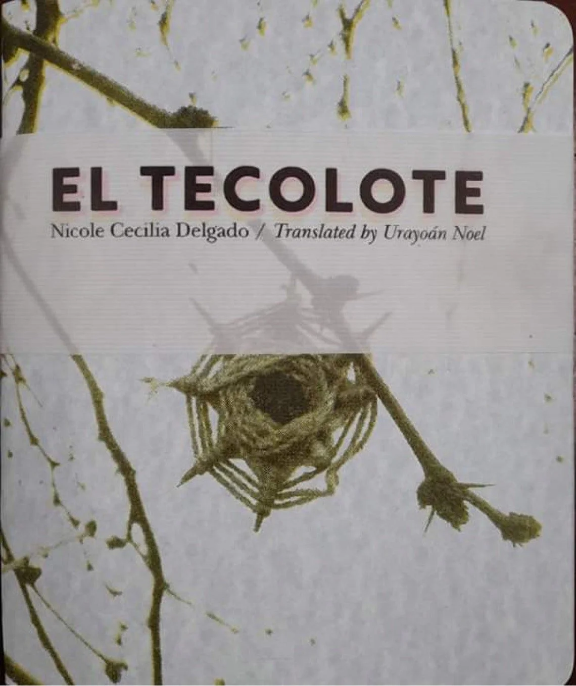 El Tecolote 
Translated by Urayoán Noel
La Impresora | 2021