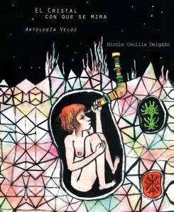 El cristal con que se mira
Antología Veloz
(H)onda Nómada Ediciones
México
2008