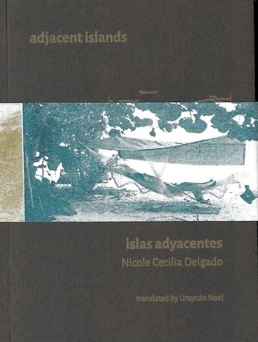 adjacent islands/islas adyacentes
Ugly Duckling Presse/DoubleCross Press/La Impresora, 2022
Traducido al inglés por Urayoán Noel.
Colección que incluye el texto íntegro de los poemarios 'subtropical dry' y 'amoná', publicados originalmente en edicion