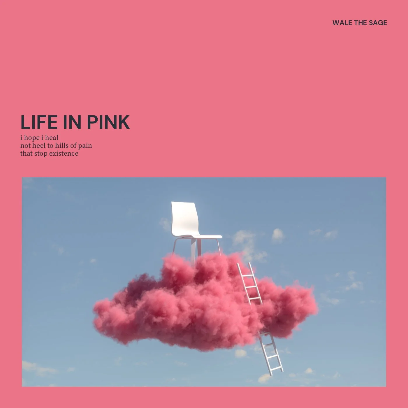 LIFE IN PINK COVER ART.jpeg