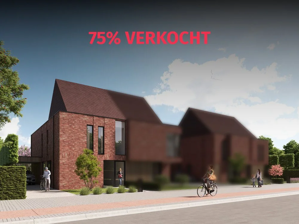 DRV+WONEN_Stekene_Heirweg+89-91_3.jpg