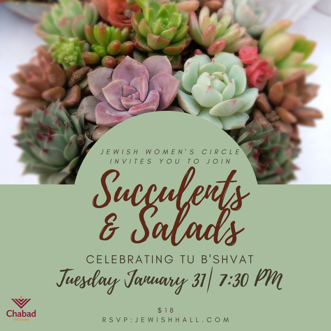 JWC - Succulents &amp; Salads