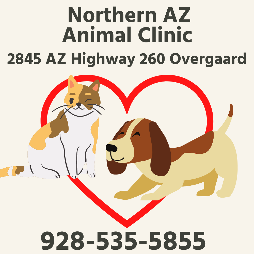 Northern AZ Animal Clinic 