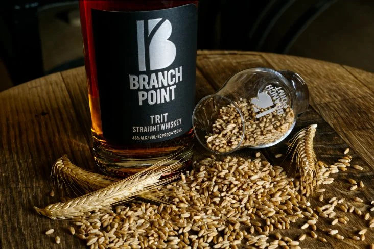 Triticale grain on a barrel with a bottle of TRIT Straight Whiskey
