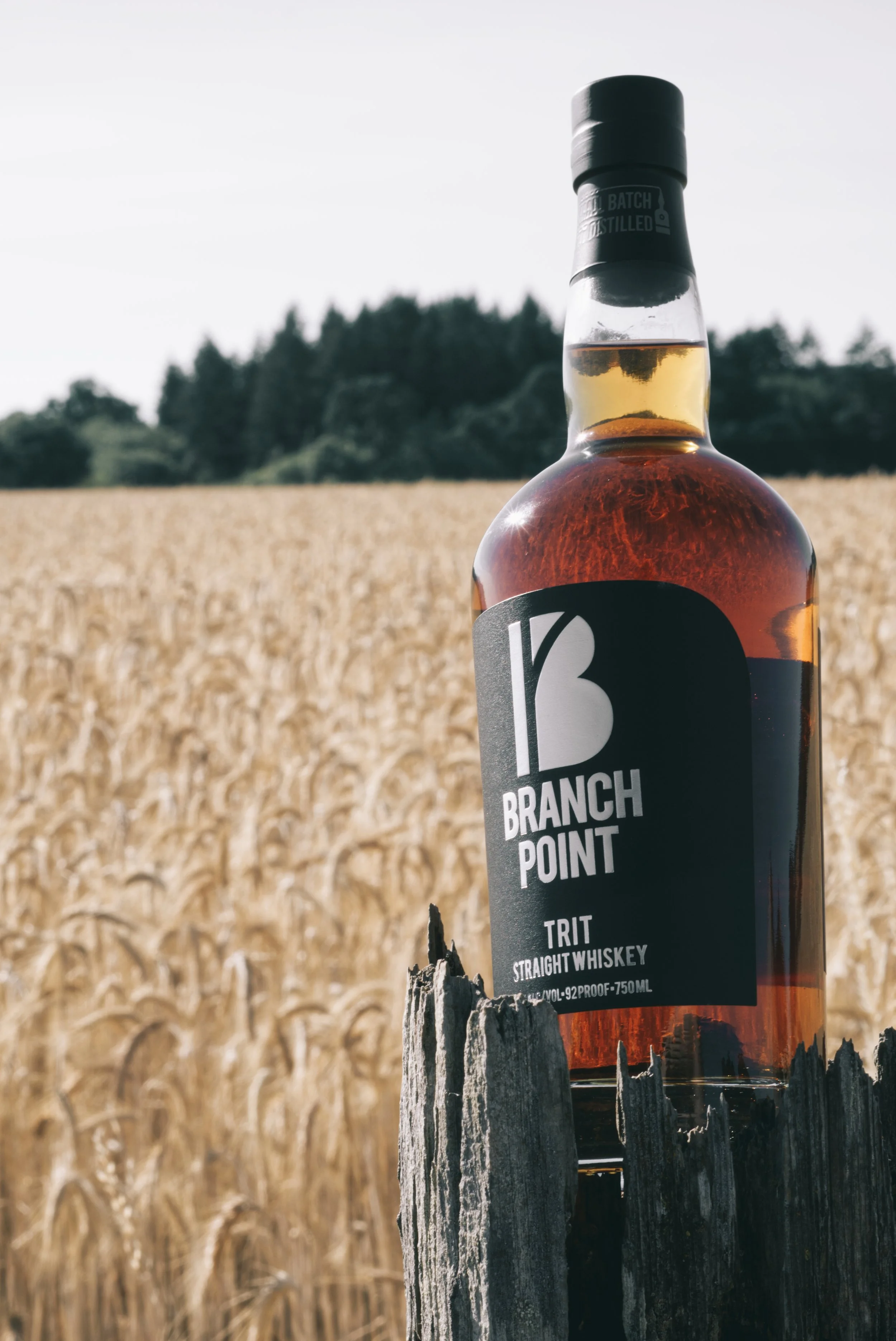 Branch Point TRIT Straight Whiskey in the Triticale field we get our grain.