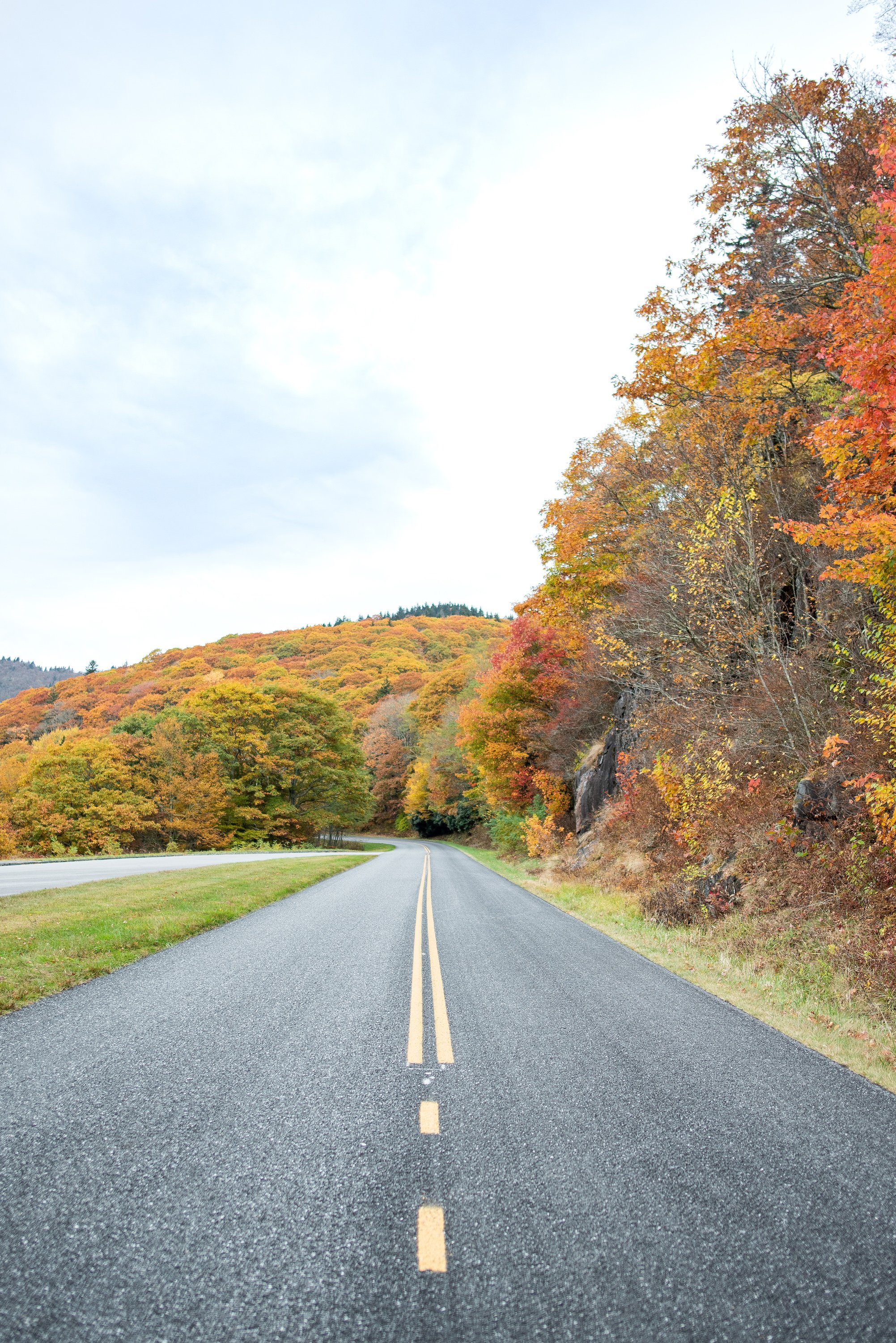 _DSC7878.jpg