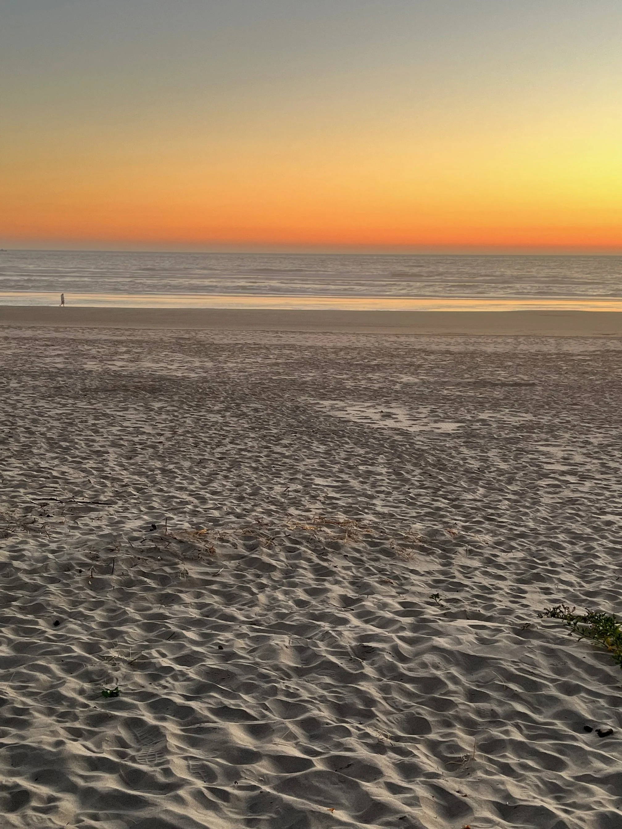 Open Beach_Vacation home rental Manzanita_Rockaway Beach.jpg