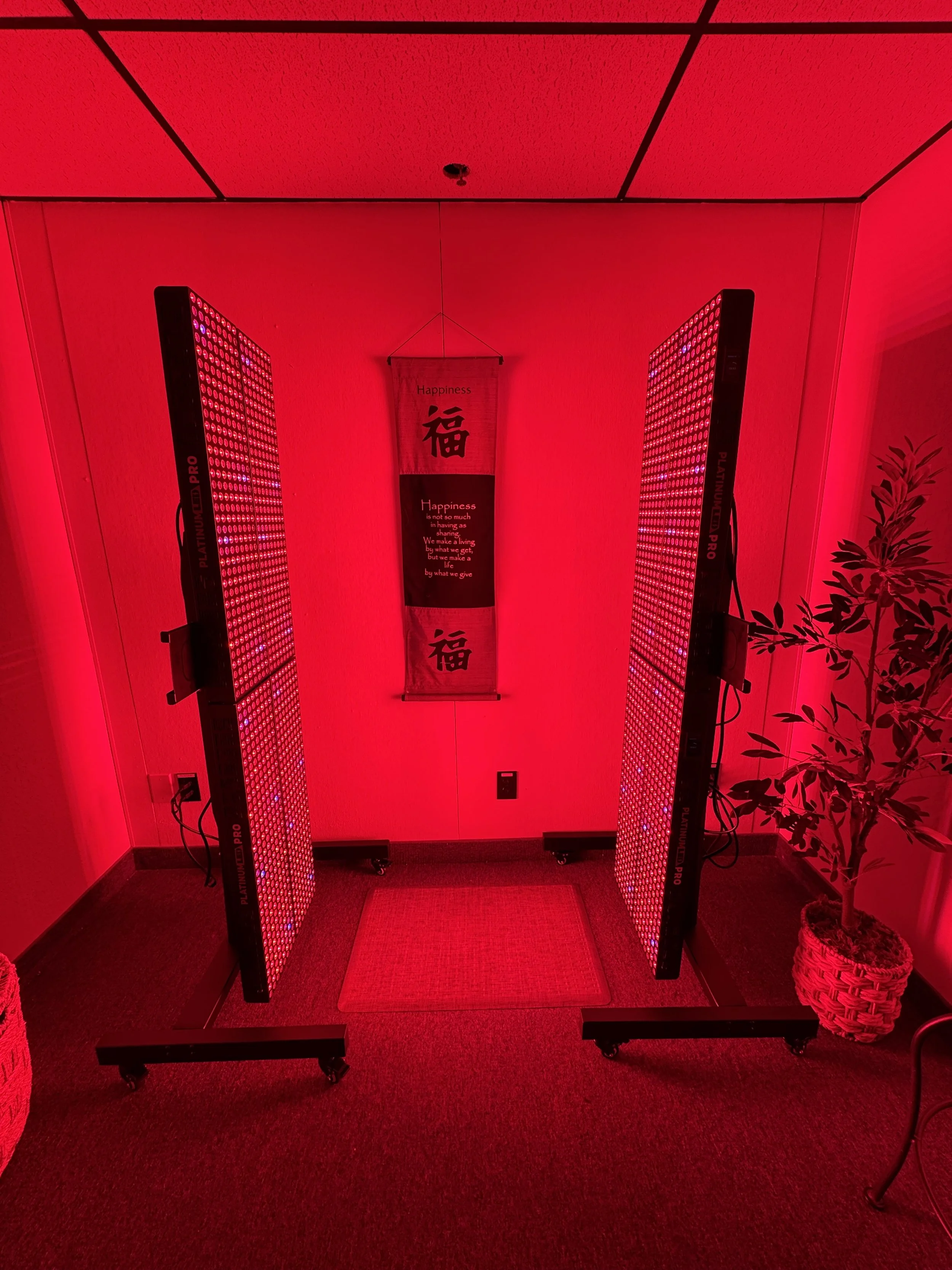 Red Light Therapy