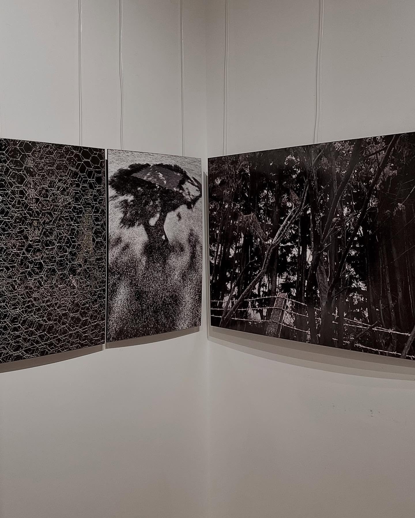 New Year thrill to be part of this wonderfully curated, rolling &amp; evolving Art Exhibition @ballroomartsaldeburgh from this evening. 
Please do come along&hellip;A 

#art #artexhibition #aaronnotelvisdesign #weare14x14 #artcuration #aldeburgh #bal