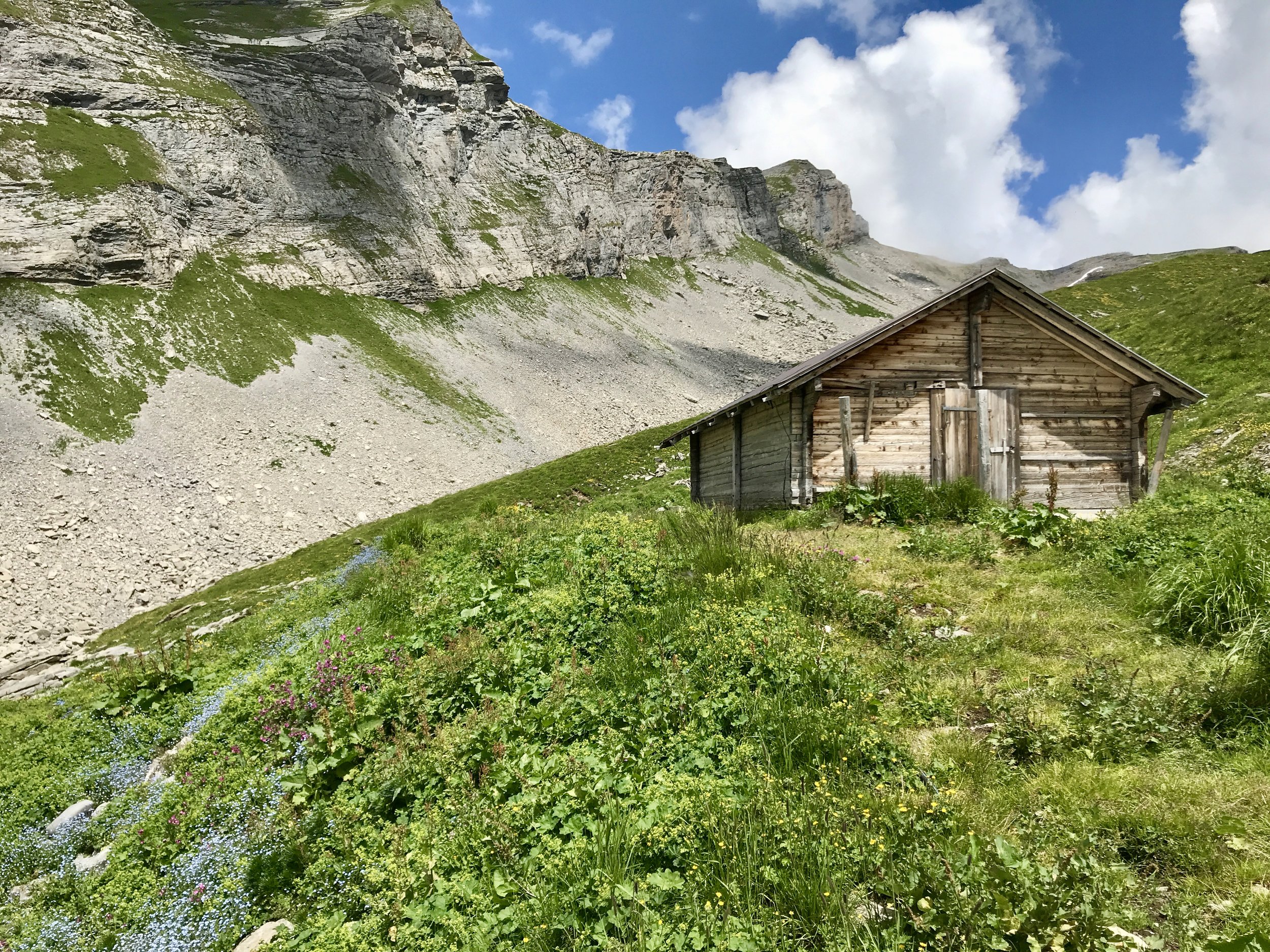 Mountain barn